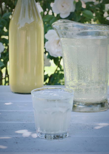 A bottle of elderflower cordial, a jug of sparkling elderflower and a glass of sparkling elderflower